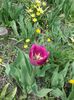 20160410_121948
