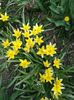 20160410_122006