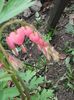 20160410_122053