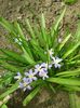 20160410_122139