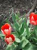 20160410_122154