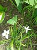 20160410_122215