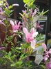 20160410_122226