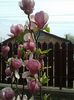 20160410_122244