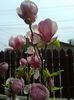 20160410_122250