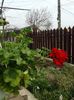 20160410_122256