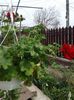 20160410_122301