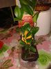 20160411_170701