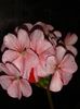 20160411_173500