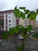 20160411_173542