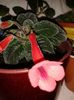 20160412_204740