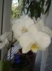 20160413_122526