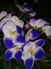 20160415_195505