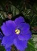 20160415_195517