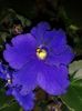 20160415_195525