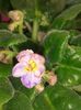 20160416_085946