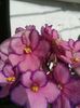 20160416_090014