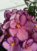 20160416_090022