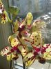 20160416_090126