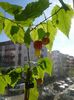 20160416_090711