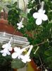 20160416_132351