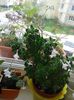 20160416_132357