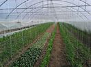 Photo0132