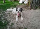 Photo0141