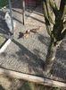 20160417_165552