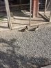 20160417_165608