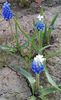 IMG_20160417_174303