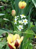 DSC03077