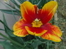 DSC03084