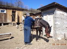 Ne pragatim de drum-3