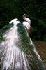 FB_IMG_1460921219616