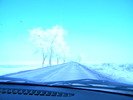 DSCN4524