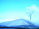DSCN4525