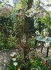 DSC00858