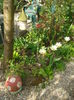 DSC00861