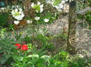 DSC00875