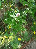 DSC00935