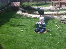 20160418_132646