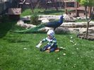 20160418_132643