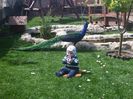 20160418_132633