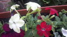 20160418_080425