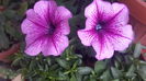 20160418_080320