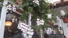 20160418_080354