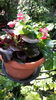 20160415_150545