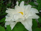 DSC01239