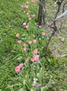 IMG_20160418_170042